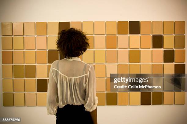 Visitor inspects Synecdoche by Byron Kim, one of the pieces on display at the Tate Liverpool as part of Colour Chart: Reinventing Colour, 1950 to...