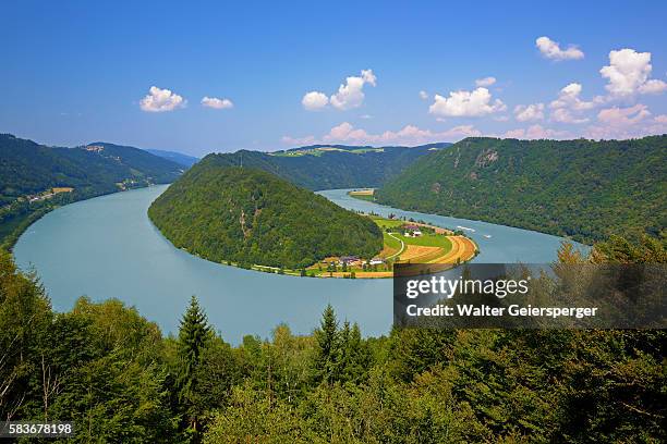 the danube river, austria - donau stockfoto's en -beelden