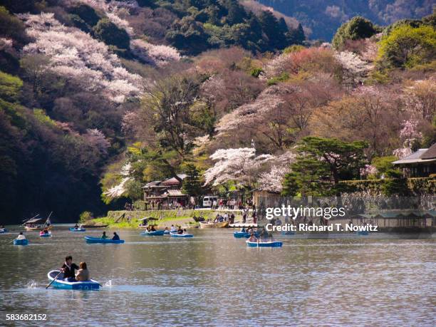 cherry blossom festival at kamo river in kyoto - arashiyama district cherry blossom stock pictures, royalty-free photos & images