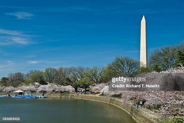 tidal basin and washington monument in spring - the mall stock pictures, royalty-free photos & images