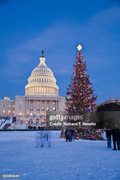 us capitol building and christmas tree at dusk - capitol hill winter stock pictures, royalty-free photos & images