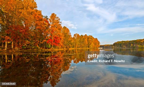 seneca creek state park - gaithersburg foto e immagini stock