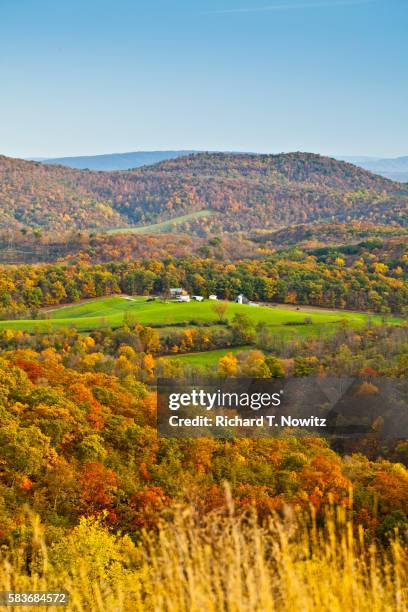 green ridge state forest - maryland us state stock-fotos und bilder