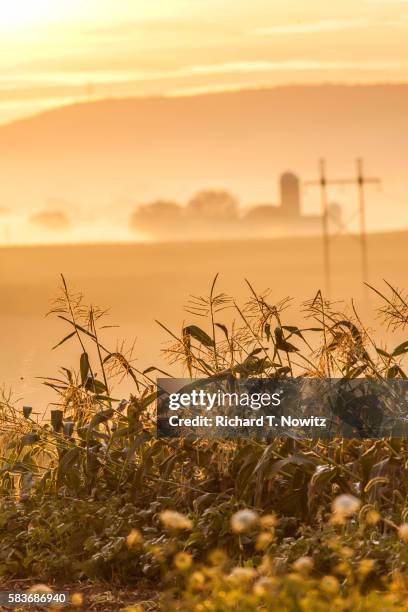 morning fog lancaster county - amish building barn stock pictures, royalty-free photos & images