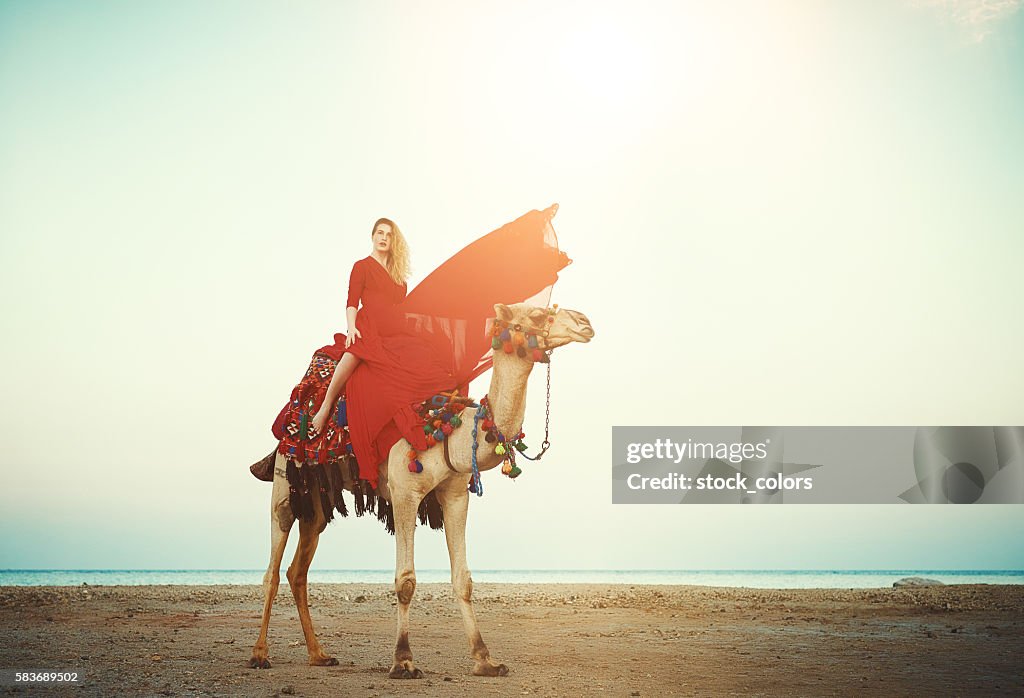 Exotic camel ride