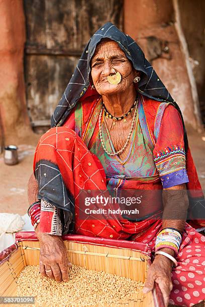 femme indienne tamisant des grains de blé dans le village de bishnoi, rajasthan. - sifting stock photos et images de collection