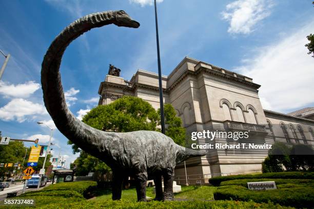 diplodocus dinosaur - diplodocus stockfoto's en -beelden