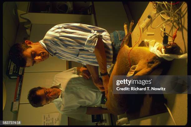 Richard Handle 2,883 Richard Handler Stock Photos, High-Res Pictures, and Images ...