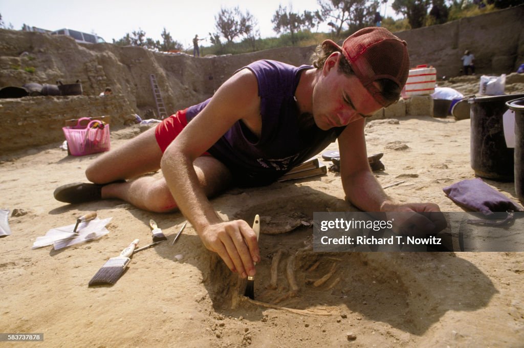 Excavating Dog Bones