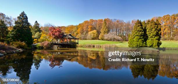 fall reflections in a pond. - silver spring fotografías e imágenes de stock