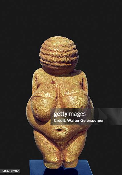 venus of willendorf - stone age stockfoto's en -beelden