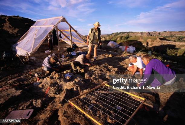 dinosaur dig site - paleontología fotografías e imágenes de stock
