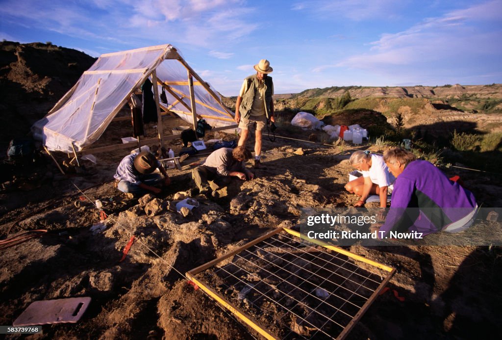 Dinosaur Dig Site