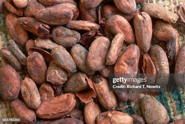 cocoa beans with outer hulls - hershey stock pictures, royalty-free photos & images