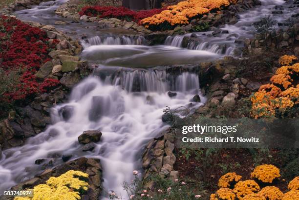 busch gardens waterfall - williamsburg virginia stockfoto's en -beelden