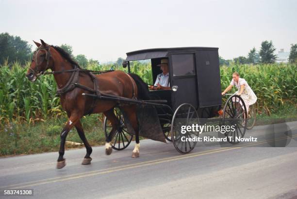 amish man driving buggy - amish stock pictures, royalty-free photos & images