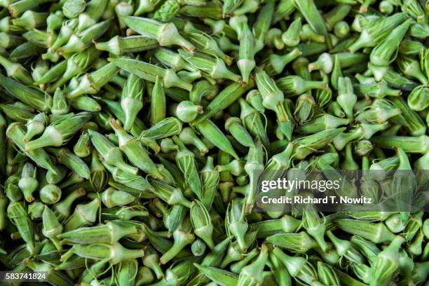 green okra - okra stock pictures, royalty-free photos & images