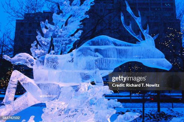 ice sculpture of deer - ice sculpture stock-fotos und bilder