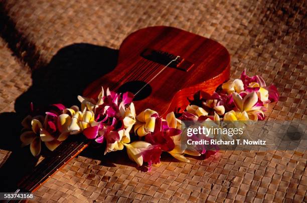 lei and ukulele - ukulele stock-fotos und bilder