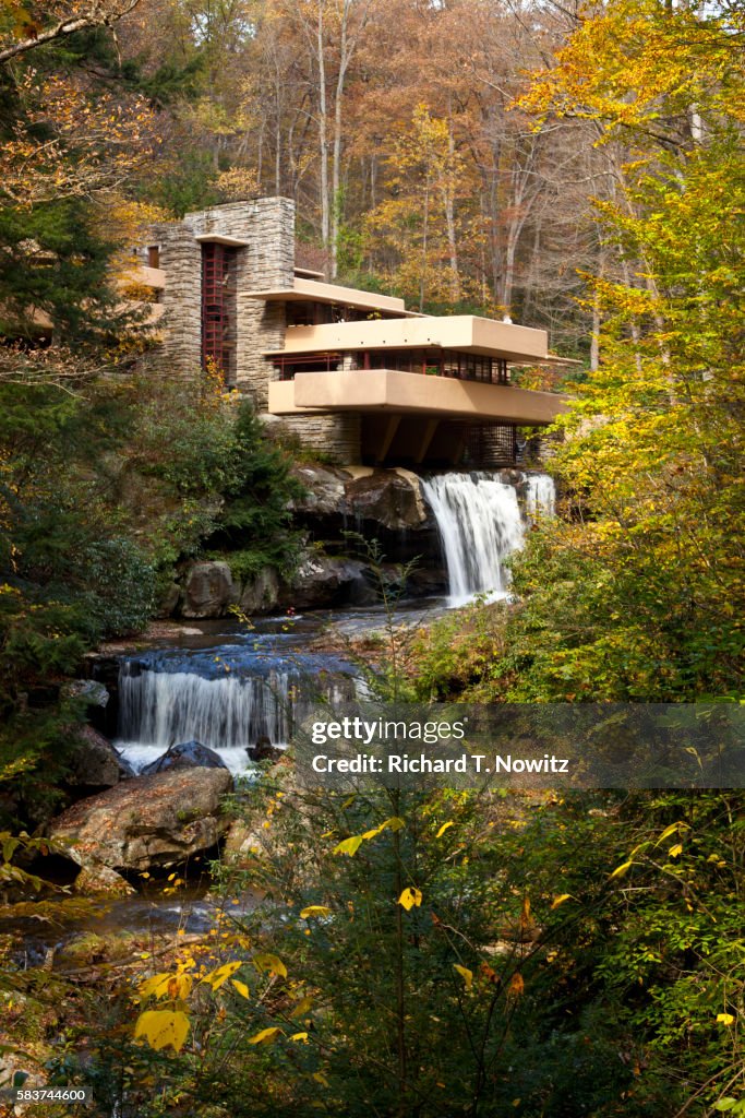 Falling Water in Laurel Highlands