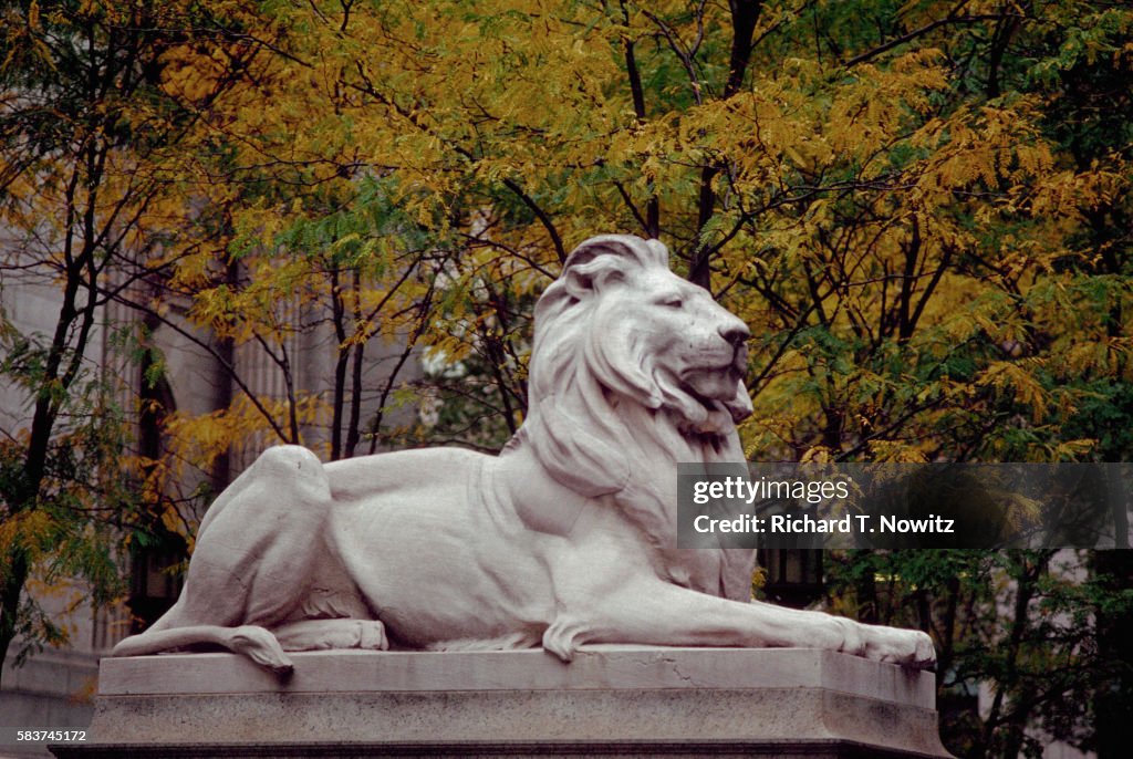 Lion Statue in Front of New York Public Library