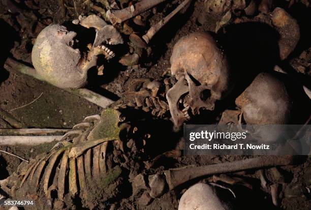 human skeletons of escaping people - skeleton stock pictures, royalty-free photos & images