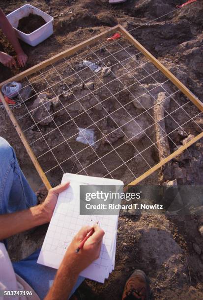 paleontologist examining dig grid - palaeontology stock-fotos und bilder