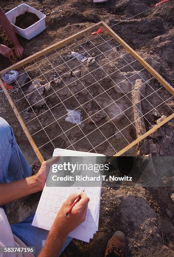 Paleontologist Examining Dig Grid