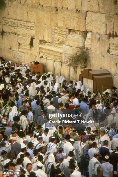 jews worshipping at wall - muro das lamentações imagens e fotografias de stock