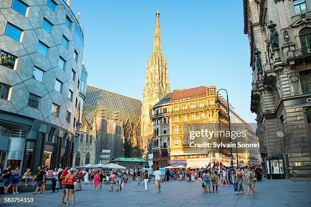 vienna, the stephansplatz - viena fotografías e imágenes de stock