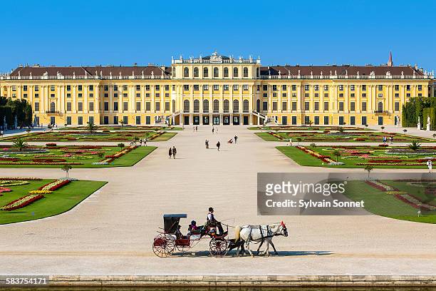 schonbrunn palace, vienna - schonbrunn palace vienna stock pictures, royalty-free photos & images