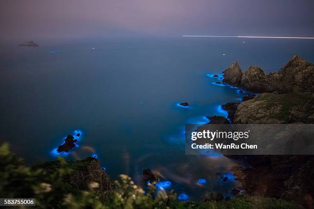blue tears bioluminescent algae noctiluca scintillans - bioluminescence stock-fotos und bilder