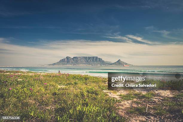 the table mountain from big bay beach, south africa - nationalpark table mountain stock-fotos und bilder