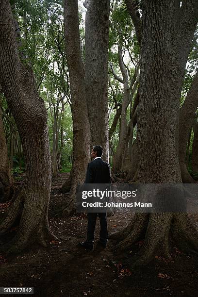 businessman standing in forest - man hiding behind tree stock pictures, royalty-free photos & images
