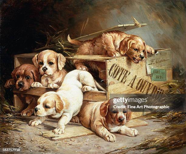 Tumbling Retriever Puppies by Frederico Olaria