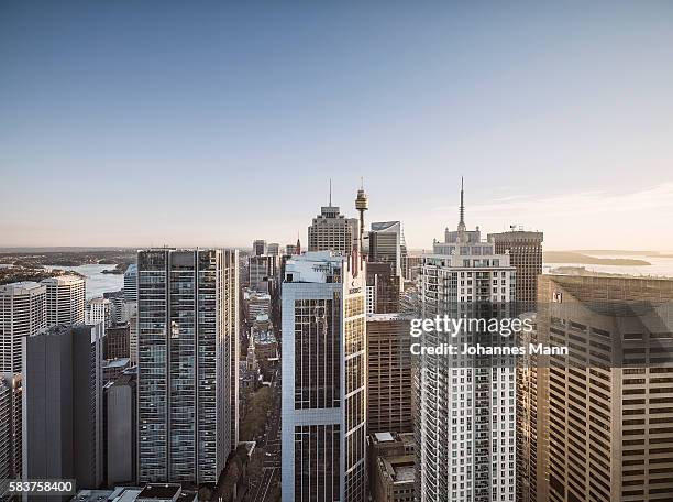 sydney - sydney imagens e fotografias de stock