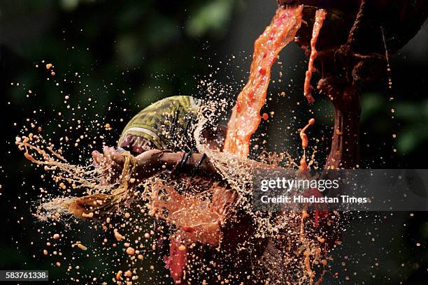 Janmashtami - Gokulashtami - Dahi Handi - A govinda of Amar Sandesh Sports Club breaks a clay pot containing butter during celebrations of...