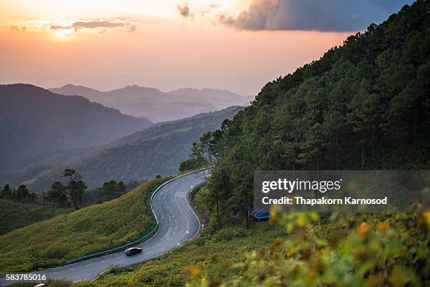 thung dok bua tong mae hong son - メーホンソン州 ストックフォトと画像