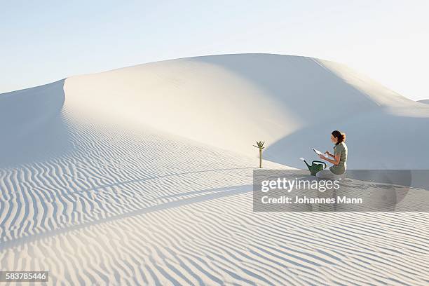 woman monitoring tree growing in desert - small beginnings stock pictures, royalty-free photos & images