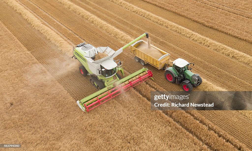 Combine Harvesting Crop