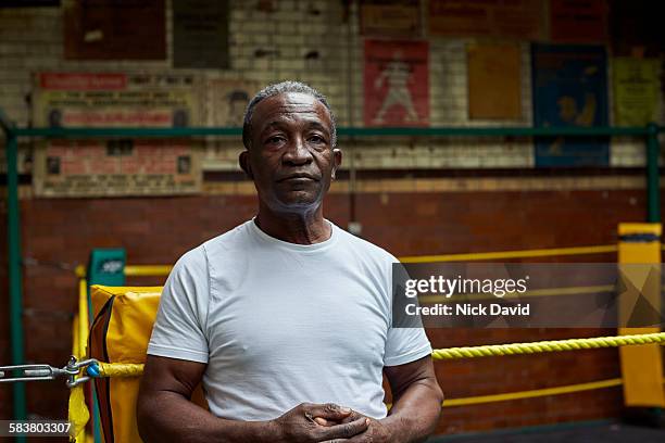 boxing club - fighter portraits 2015 stockfoto's en -beelden