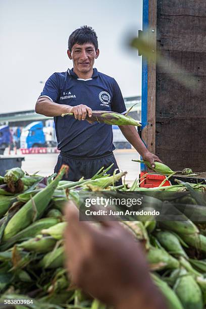 August 3, 2015. LIMA, PERU. Rafael Pariona Martin is a Market porter of Corn at the Mercado Mayorista de Santa Anita in Lima and member of SEGCHGMML...