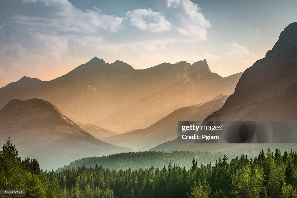Nature sauvage de l’Alberta près de Banff