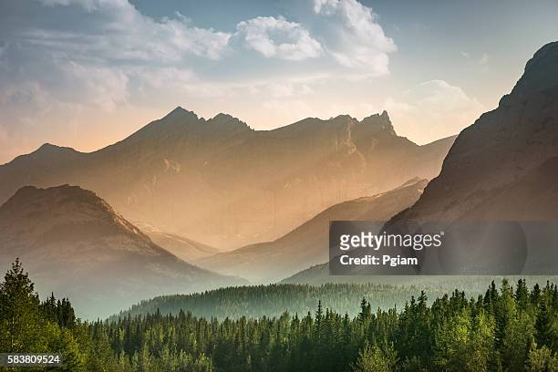 alberta wilderness near banff - fog stock pictures, royalty-free photos & images
