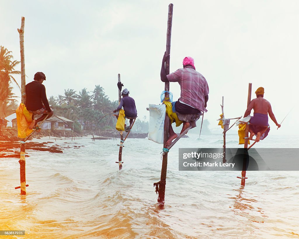 Stilt fishermen