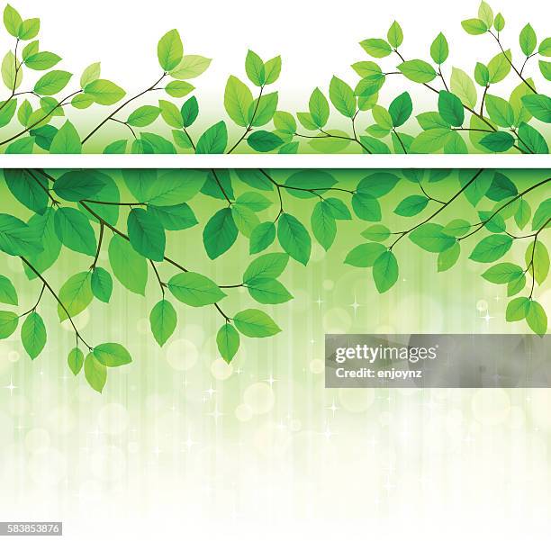 green leaves background - green leaf stock illustrations
