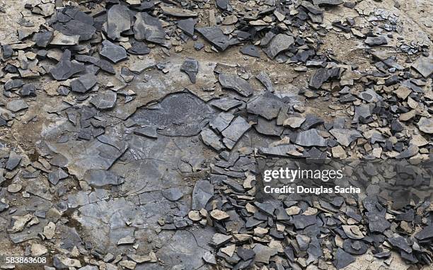 natural shale sedimentary rock in the landscape - slate rock stock-fotos und bilder