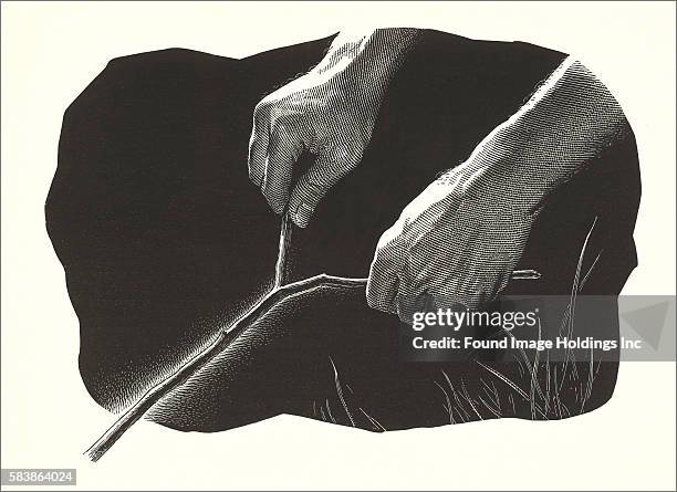 Define Dowsing Rod 293 Dowsing Rods Stock Photos, High-Res Pictures, and Images - Getty Images
