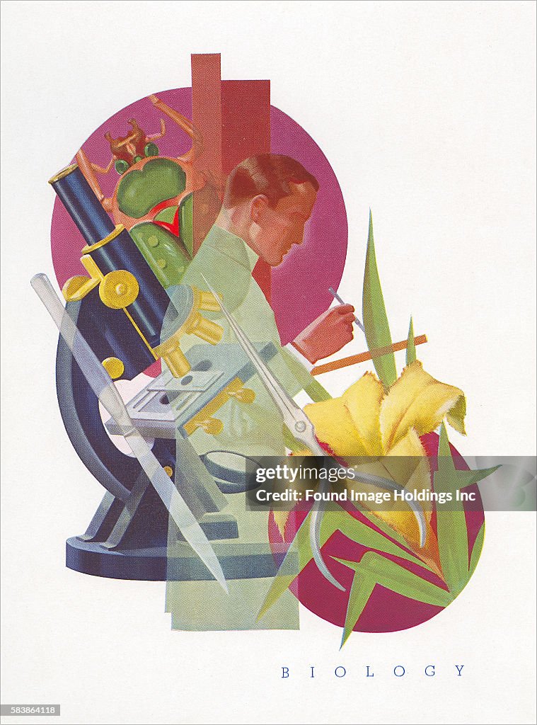 Vintage Illustration Of Biology In The Lab 1950s News Photo Getty vintage-illustration-of-biology-in-the-lab-1950s-news-photo-getty