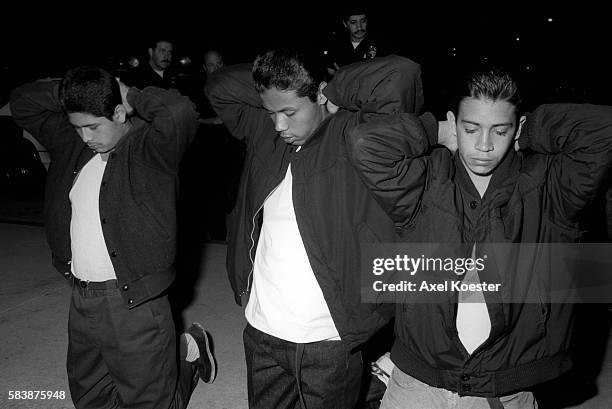 Suspected 18th Street gang members from a clique near downtown Los Angeles are stopped by the LAPD CRASH gang unit for field interviews. 18th Street...